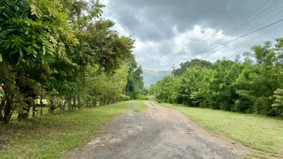 Terreno Venta | s/n GORGONA, Panamá Oeste, 🇵🇦 Panama