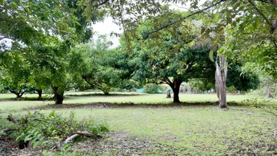 Terreno Venta | s/n GORGONA, Panamá Oeste, 🇵🇦 Panama